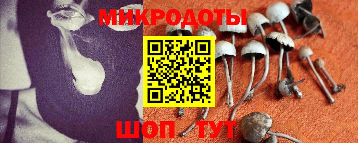Галлюциногенные грибы Magic Shrooms Еманжелинск