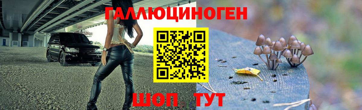 Еманжелинск  Галлюциногенные грибы GOLDEN TEACHER  Вход с VPN 